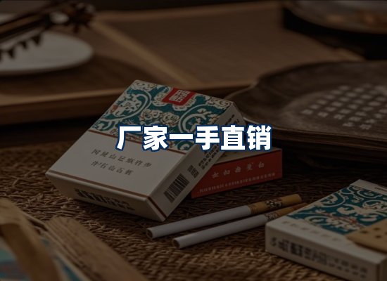 专业团队办公环境